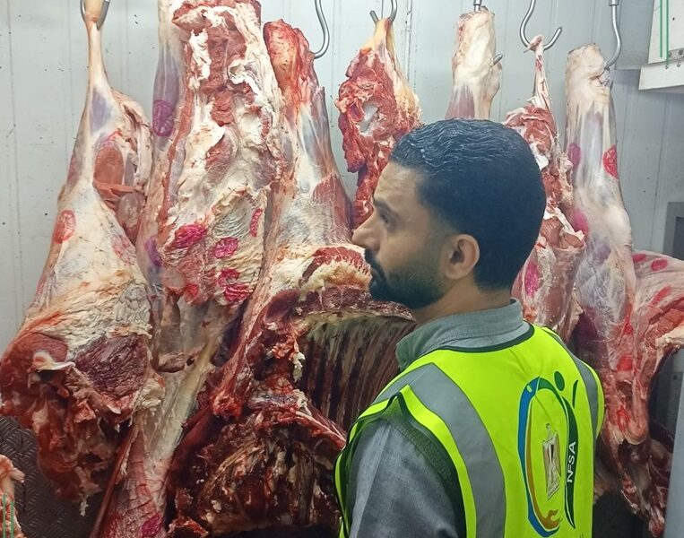سلامة الغذاء بالشرقية … تكثف جهودها لضبط الأسواق للتأكد من سلامة المعروض للمواطنين