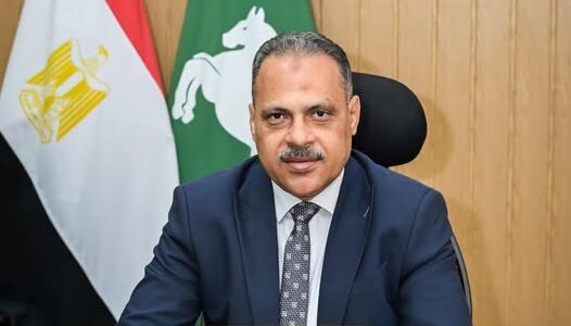 محافظ الشرقية يشيد بجهود الأجهزة التنفيذية والخدمية والأمنية في نجاح خطة عيد الأضحى المبارك
