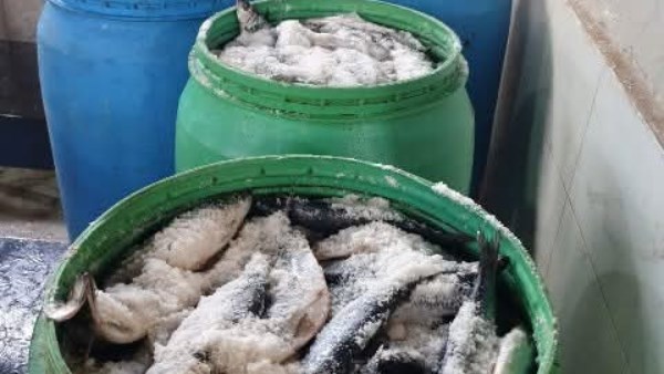 بيطري الشرقية يضبط طن لحوم مخالفة ومصنعات لحوم بمركزي فاقوس ومنيا القمح