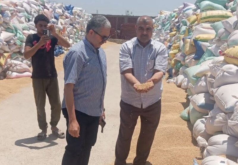 توريد (٦٥٧٧٧٠) طن قمح محلي لشون وصوامع الشرقية خلال الأسبوع السابع من موسم التوريد ٢٠٢٦/٢٠٢٥