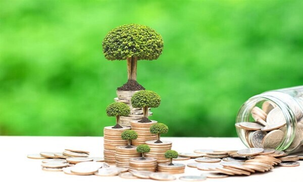 البيئة: تمويل 5 مشروعات في الطرح الأول للسندات الخضراء بـ500 مليون دولار