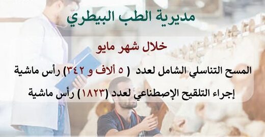 بيطري الشرقية: إجراء المسح التناسلي الشامل لـ (٥٣٤٢) رأس ماشية والتلقيح الإصطناعي لـ (١٨٢٣) رأس ماشية