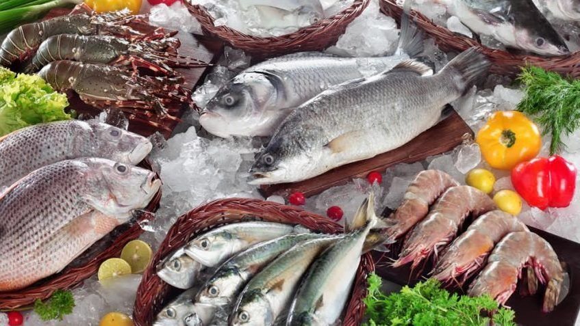 أسعار الأسماك والجمبري اليوم الخميس 9 مارس 2023 بأسواق الجملة