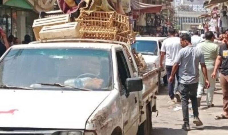 شوارع الزقازيق…تشهد حملات مكبرة لإزالة الإشغالات وتكثيف مستوى النظافة لاستعادة الانضباط والمظهر الحضاري