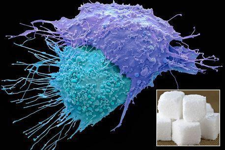 علماء يبتكرون قنبلة سكر تدمر الخلايا السرطانية في ثوان