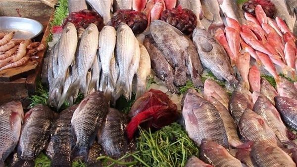 أسعار الأسماك في الأسواق اليوم…البلطي بـ 48 جنيهاً