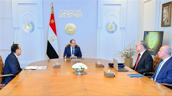 محاسبة المتسببين في مشكلة البنزين.. توجيهات عاجلة من الرئيس السيسي للحكومة