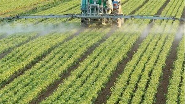 الزراعة تعلن ١٠ إجراءات احترازية مهمة للمزارعين والمربين خلال موجة التقلبات الجوية