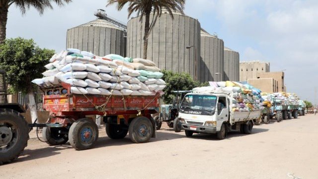 صوامع وشون الشرقية تستقبل ٦٤٤,٣٦٠ ألف طن و ٧٠٥ كجم  من المزارعين