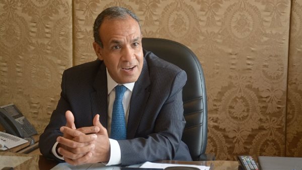 وزير الخارجية: فوز العناني بمدير اليونسكو يؤكد موقع مصر الريادي