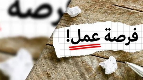 وزارة العمل:960 فرصة عمل جديدة في 10 محافظات.. رابط التقديم والتخصصات المطلوبة