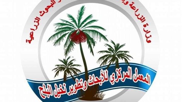“وزارة الزراعة” تنظم ورشة عن الاستفادة من التمور بأسوان