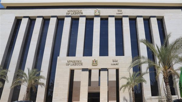 الشروط والتخصصات المطلوبة في وظائف وزارة العمل بالمحافظات