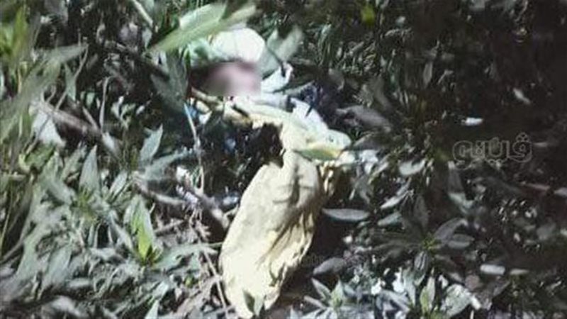 العثورعلى طفلة رضيعة ملقاة بحديقة في قرية العدلية مركز بلبيس….تحرسها الكلاب