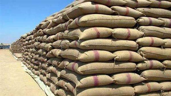 محافظ الشرقية يُعلن الإنتهاء من توريد (٦٢٠٦٢) طن و (٦٦٥) كيلو أرز شعير حتى الأن