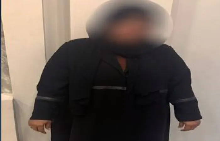 سيدة تحاول إتلاف إطار سيارة نقل وسرقة وصلات كهربائية بسلاح أبيض في الشرقية