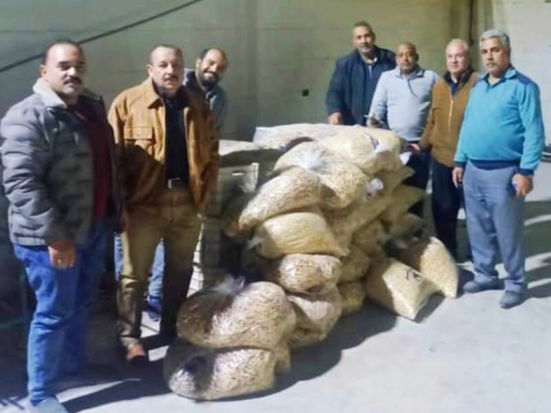 الرقابة التموينية بالشرقية تضبط 6 طن مواد غذائية مجهولة المصدر بمصانع بدون ترخيص بالعاشر