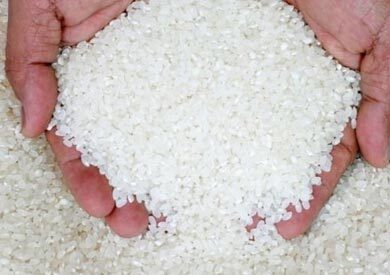 ضبط 2 طن أرز مجهول المصدر ومخابز مخالفة في كفر صقر