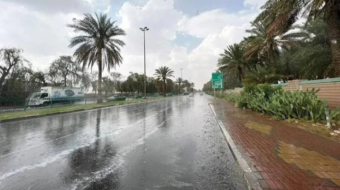 سقوط أمطار على عدة مناطق بالقاهرة والجيزة رغم الحر
