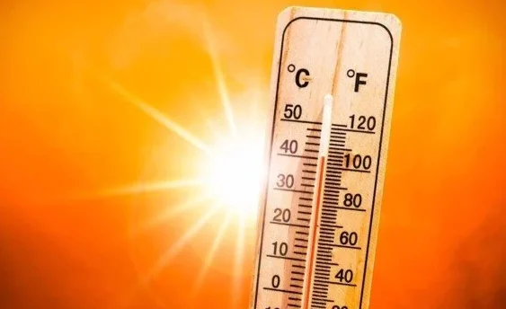 الأرصاد تكشف موعد ذروة الموجة الحارة وتحذر من الرياح المثيرة للرمال والأتربة