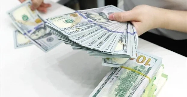 سعر الدولار مقابل الجنيه المصري اليوم الأحد 17 مايو 2026