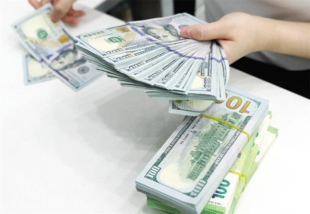 سعر الدولار مقابل الجنيه المصري اليوم السبت 23 مايو 2026