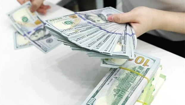 سعر الدولار مقابل الجنيه المصري اليوم الخميس 13 أغسطس 2026