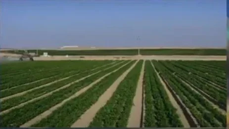 زيادة 25% بالرقعة الزراعية.. الري: «الدلتا الجديدة» نقلة تاريخية في ملف استصلاح الأراضي