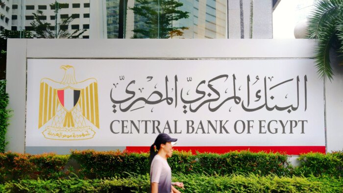 “البنك المركزي”… رواد النيل توفر 430 ألف خدمة غير مالية لأكثر من 147 ألف مشروع