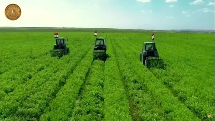 «أكبر مشروع تنموي».. نقيب الزراعيين: الدلتا الجديدة نقطة تحول غير مسبوقة