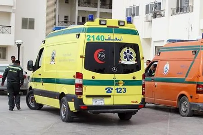 زوجة تطعن زوجها في قرية الشبانات مركز الزقازيق ….بسبب الغداء