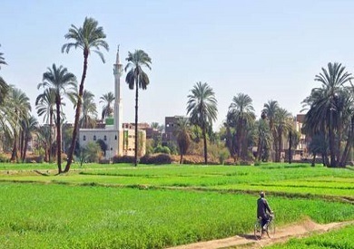 الرئاسة: الريف المصري سيكون له نصيب كبير في الرقمنة الجاري تنفيذها