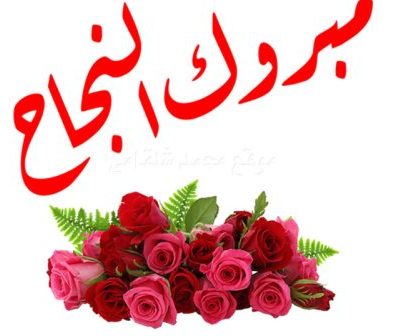 تهنئة واجبة…الي المهندس  “محمود فاروق بدر رحمه” “حصول كريمته علي 98.2