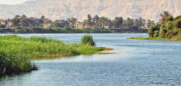 فى اليوم العالمى للمياه حكم نهائى: حق الحكومة المصرية فى مياة النيل وتحديد مناطق زراعة الأرز